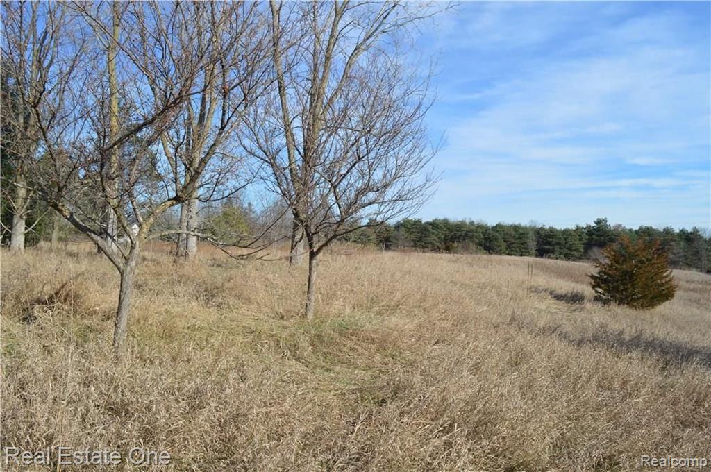 Vacant Childs Lake Road Milford, MI 48381 - Photo 10 of 18 Gallery Image 10