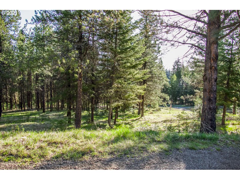 61718 Chief Joseph Loop Joseph, OR 97846 - Photo 24 of 25 Gallery Image 24