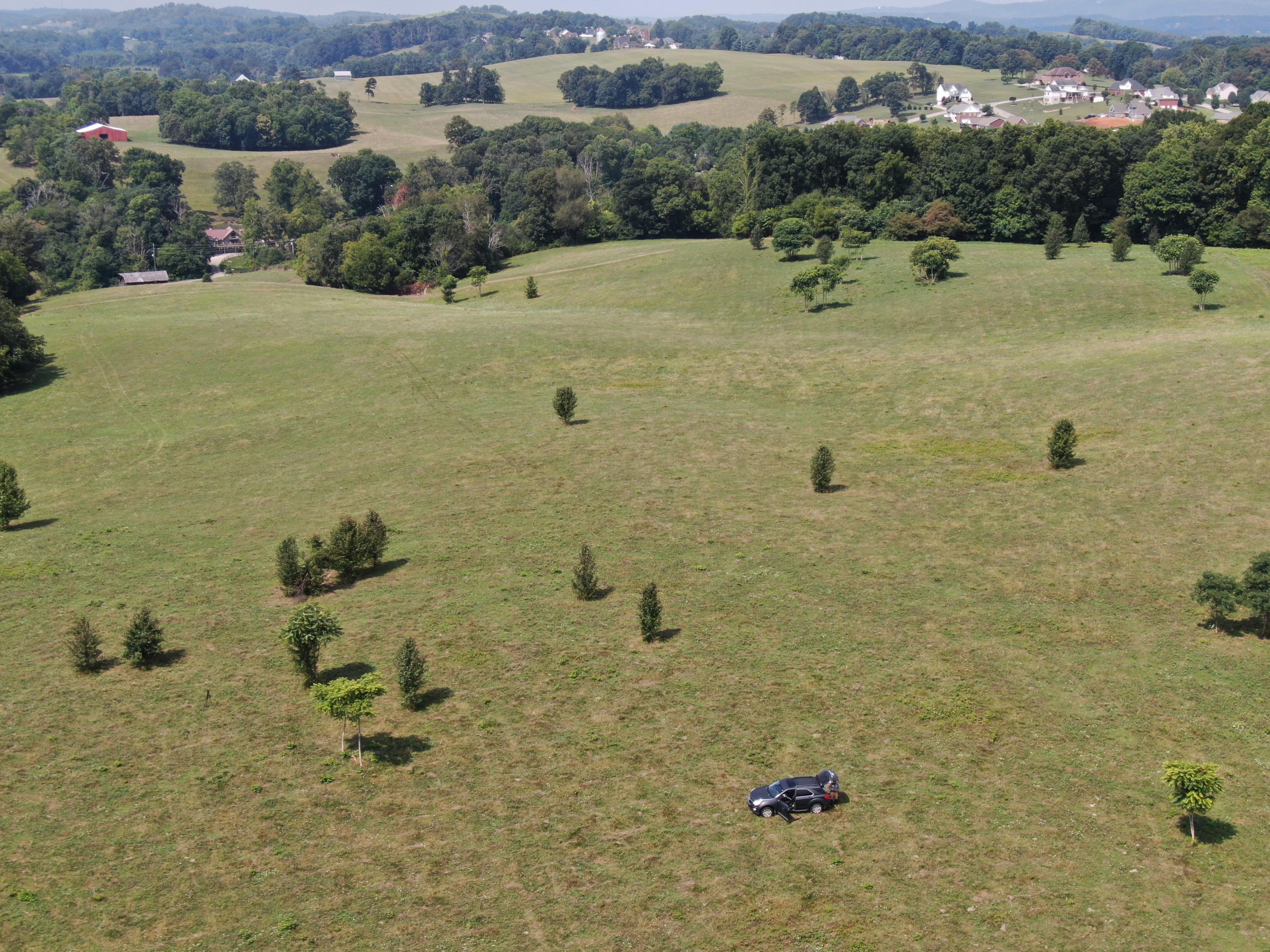 1414 Shinbone Road Russellville, TN 37860 - Photo 14 of 37 DJI_0808