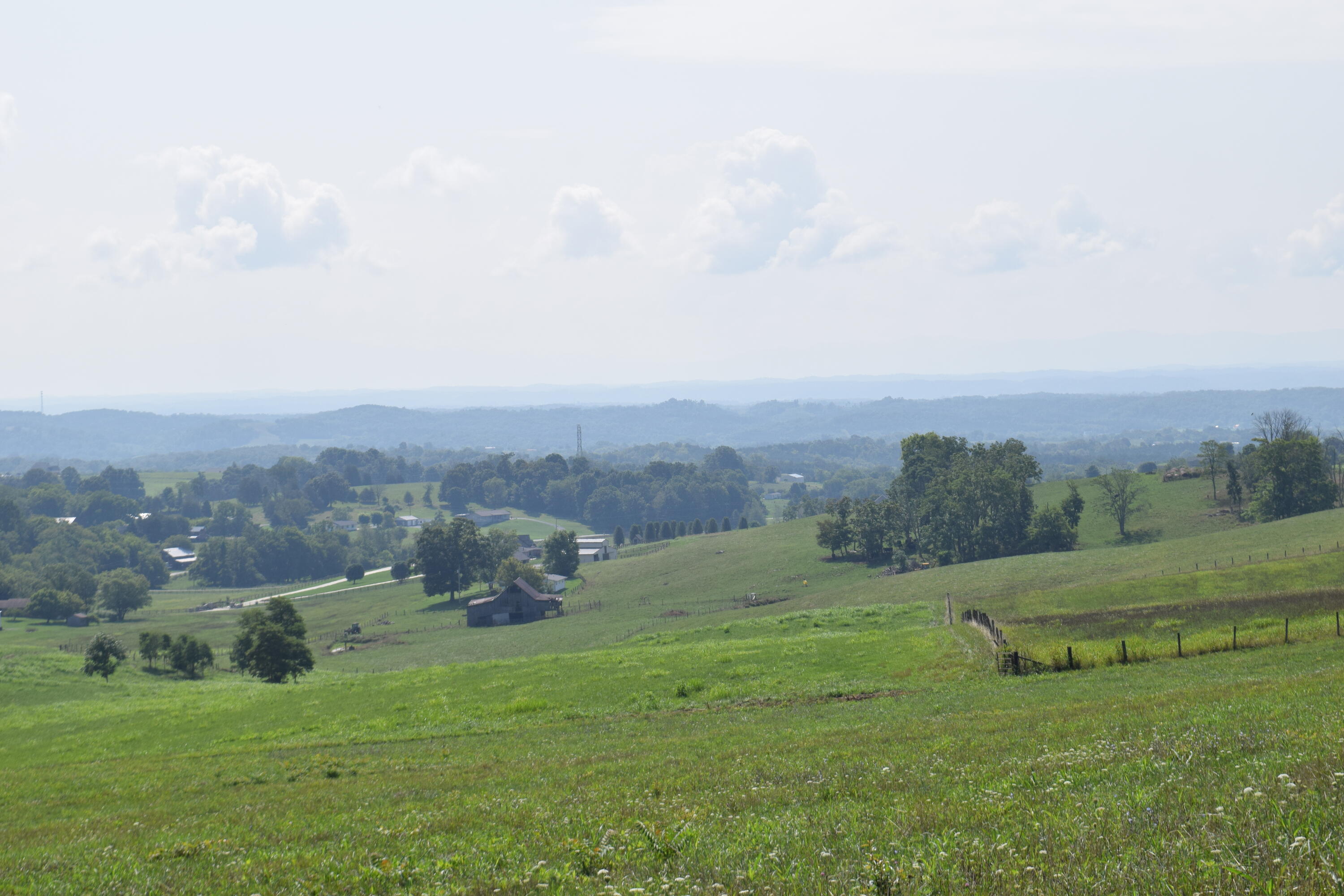 1414 Shinbone Road Russellville, TN 37860 - Photo 4 of 37 DSC_0119