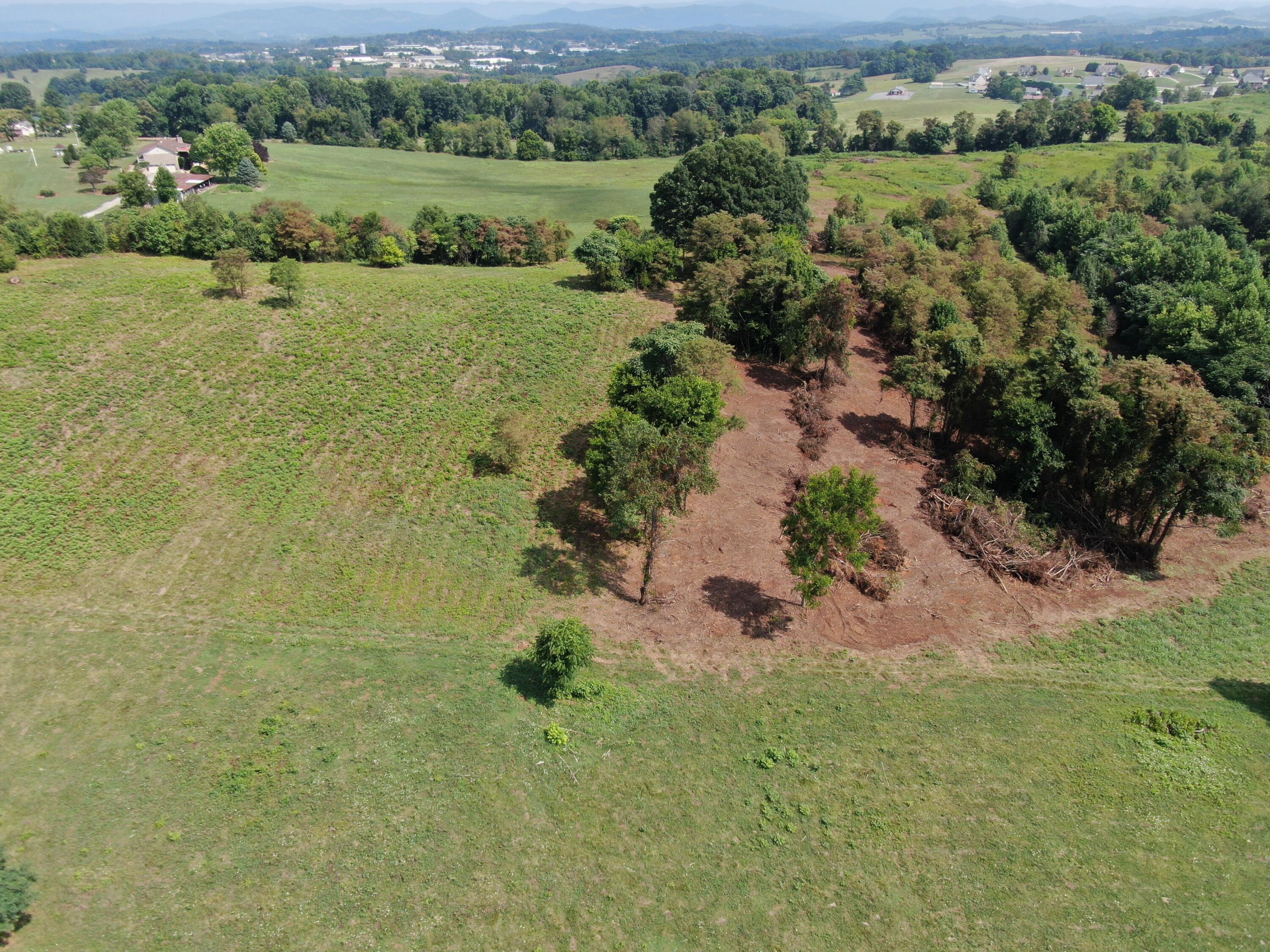 1414 Shinbone Road Russellville, TN 37860 - Photo 8 of 37 DJI_0799