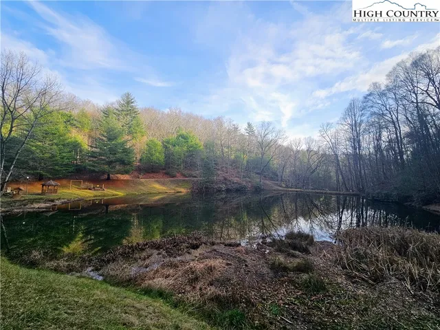 a view of a water pond with green yard