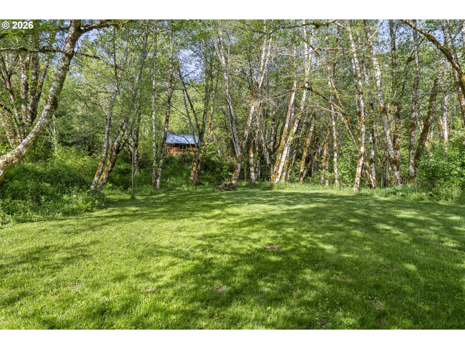 62941 Northwest Cochran Road Timber, OR 97144 - Photo 11 of 32