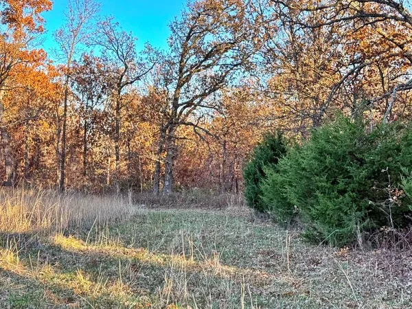 $217,500 | Tbd South 525 Road, El Dorado Springs, MO 64744