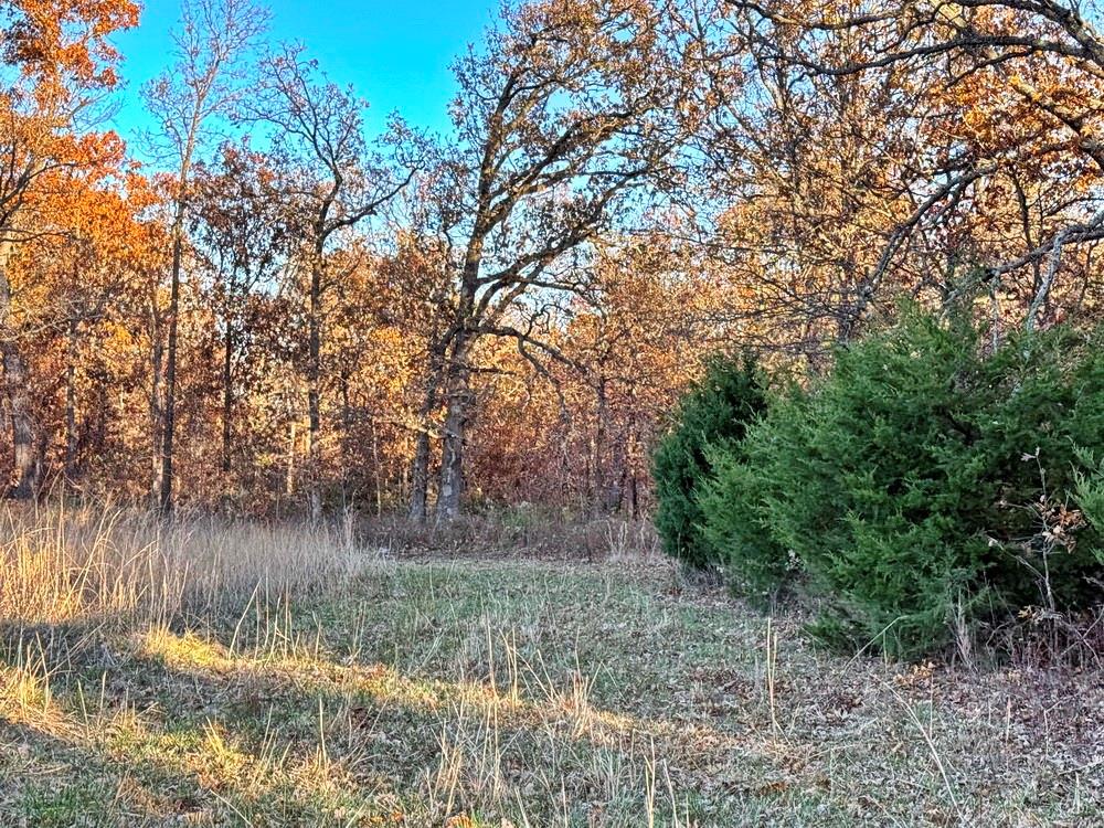 Tbd South 525 Road El Dorado Springs, MO 64744 - Photo 11 of 28