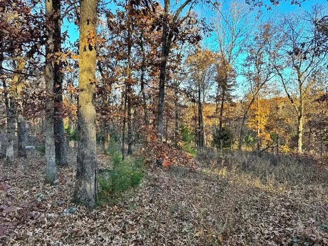 $225,000 | Tbd South 525 Road, El Dorado Springs, MO 64744