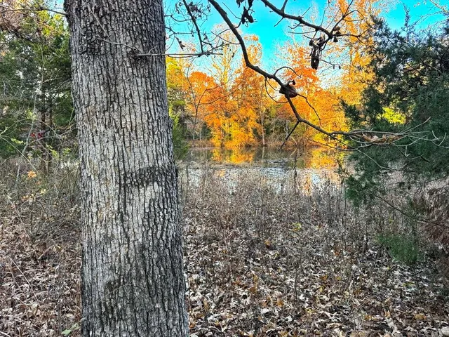 $225,000 | Tbd South 525 Road, El Dorado Springs, MO 64744