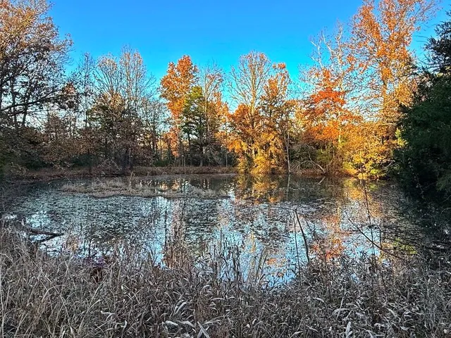 $225,000 | Tbd South 525 Road, El Dorado Springs, MO 64744