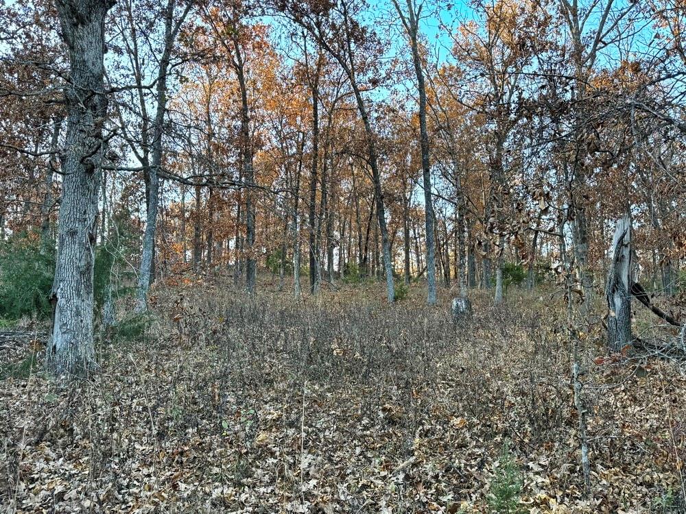 Tbd South 525 Road El Dorado Springs, MO 64744 - Photo 17 of 28