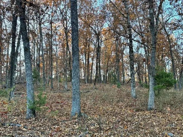 $225,000 | Tbd South 525 Road, El Dorado Springs, MO 64744