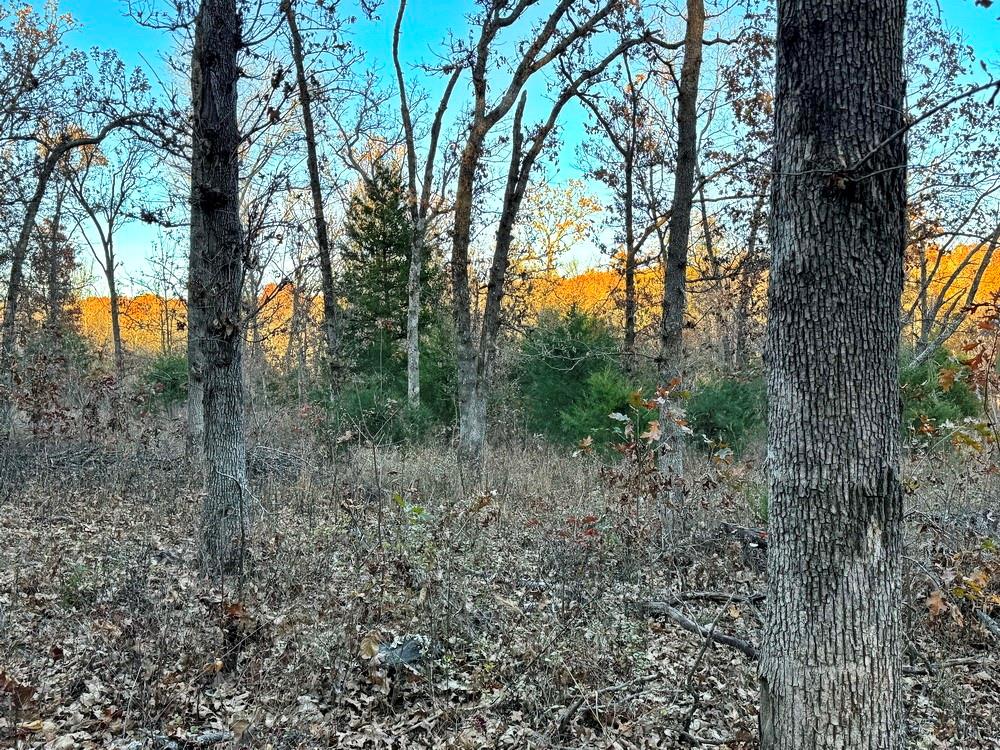 Tbd South 525 Road El Dorado Springs, MO 64744 - Photo 19 of 28