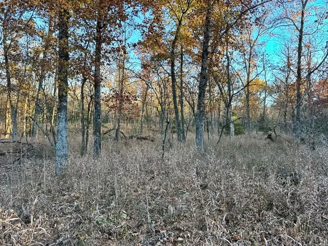 $225,000 | Tbd South 525 Road, El Dorado Springs, MO 64744