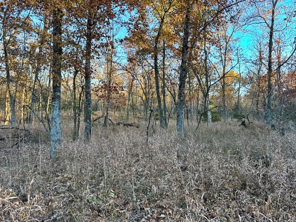 Tbd South 525 Road El Dorado Springs, MO 64744 - Photo 20 of 28