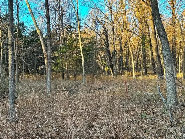 $217,500 | Tbd South 525 Road, El Dorado Springs, MO 64744