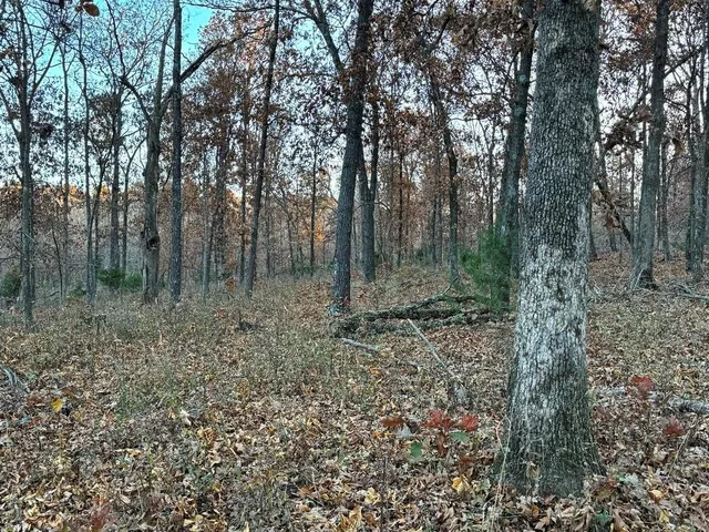 $225,000 | Tbd South 525 Road, El Dorado Springs, MO 64744