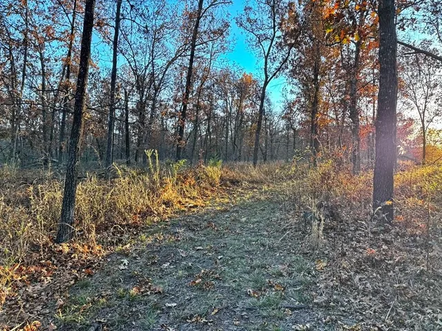 $225,000 | Tbd South 525 Road, El Dorado Springs, MO 64744