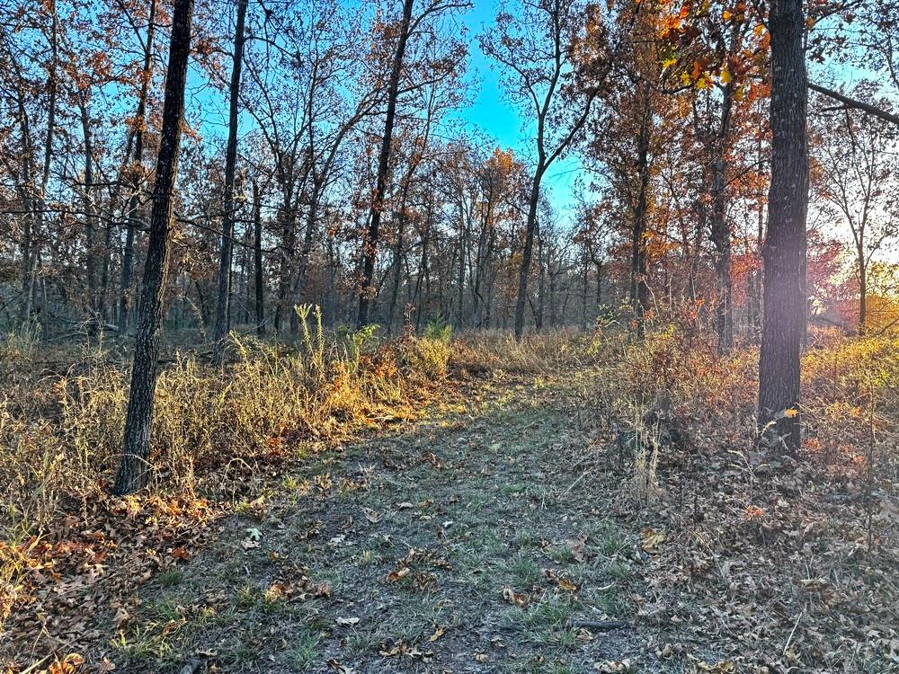 Tbd South 525 Road El Dorado Springs, MO 64744 - Photo 27 of 28