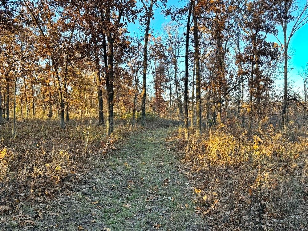 Tbd South 525 Road El Dorado Springs, MO 64744 - Photo 28 of 28