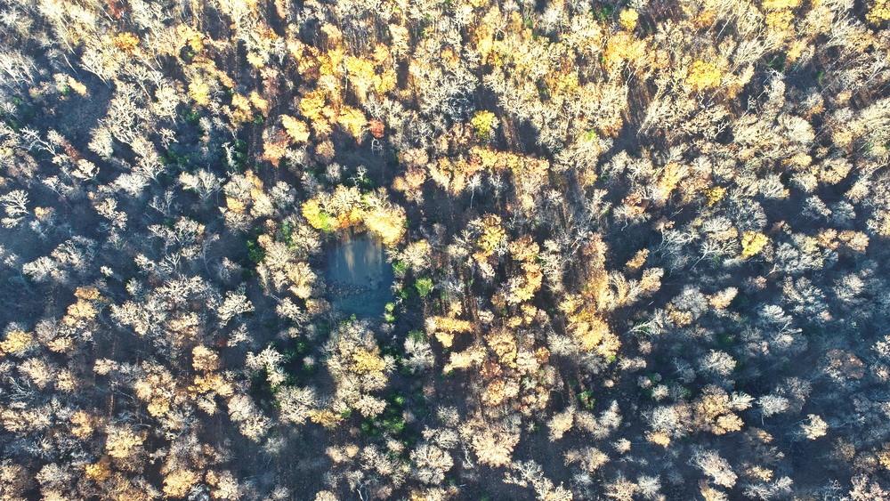 Tbd South 525 Road El Dorado Springs, MO 64744 - Photo 6 of 28