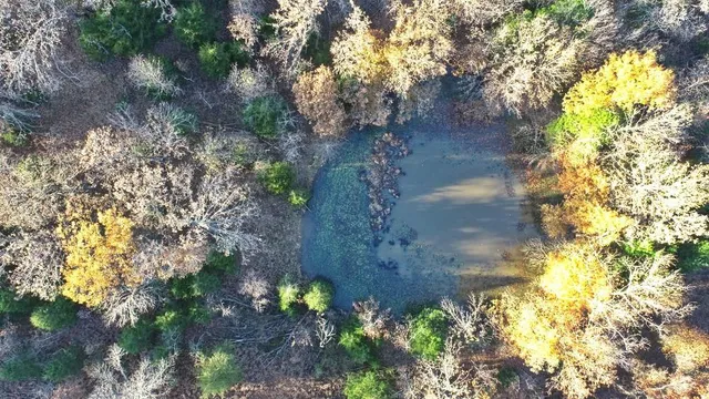 $225,000 | Tbd South 525 Road, El Dorado Springs, MO 64744