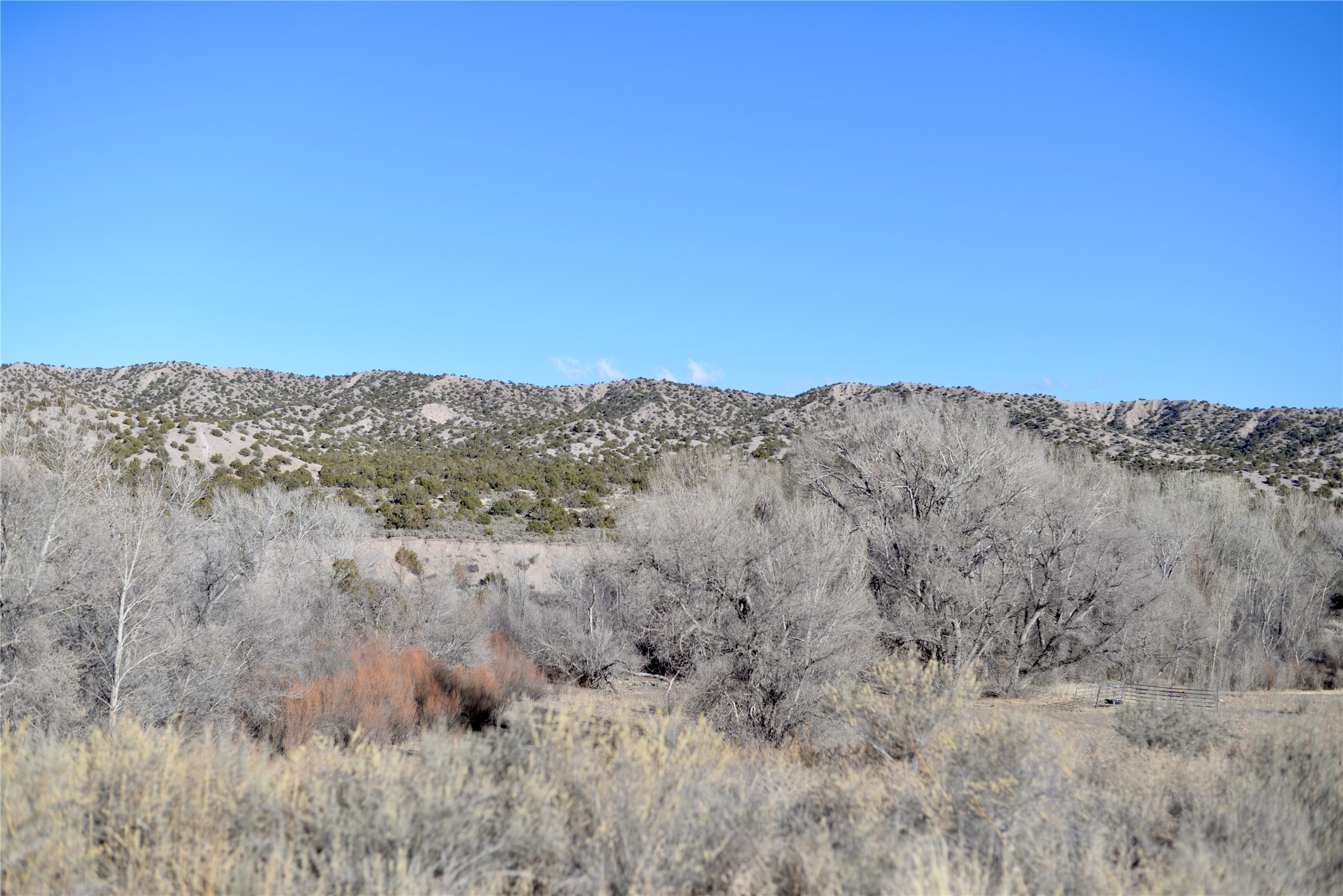 0 Nm-215 El Rito, NM 87530 - Photo 8 of 12 View to the East, from the Eastern side of the property.