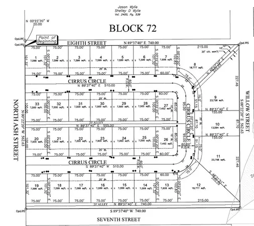 a black and white photo of a painting