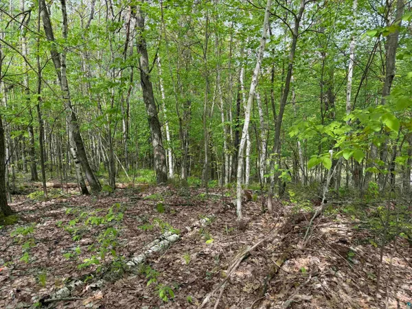 $23,900 | Lot 4 Peterson Road, Minong, WI 54859