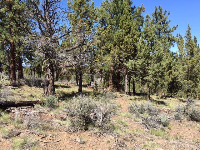 1632 Northwest Wild Rye Circle Bend, OR 97703 - Photo 5 of 5 Additional Photo