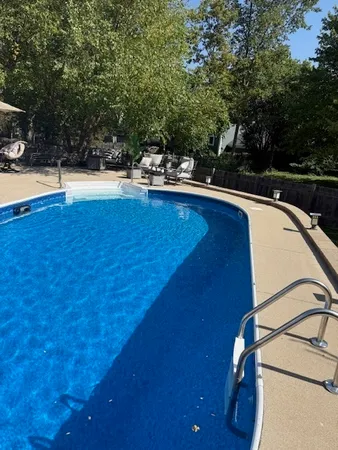 a view of a bunch of flowers