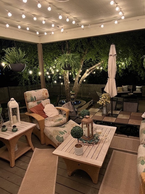 932 Foxpointe Drive Sycamore, IL 60178 - Photo 51 of 52 a living room with patio furniture and a potted plant