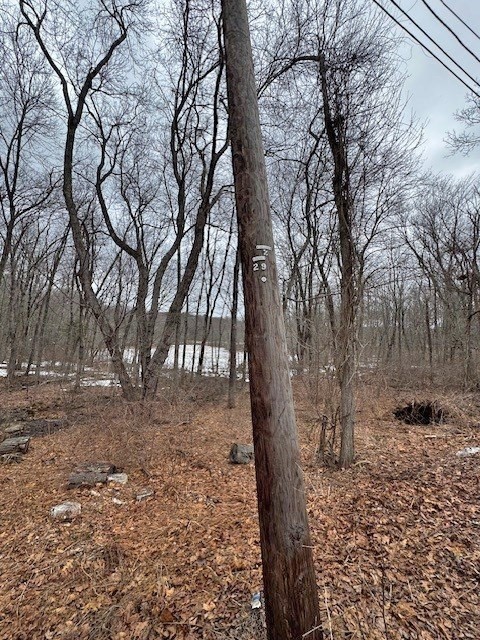 Lot 4 Gould Road Charlton, MA 01507 - Photo 2 of 4
