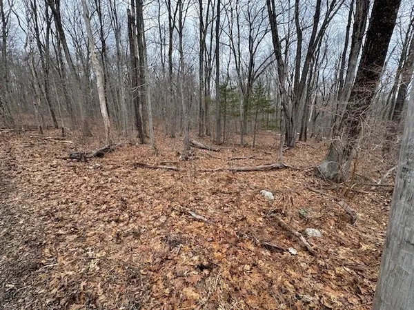 $110,000 | Lot 4 Gould Road, Charlton, MA 01507