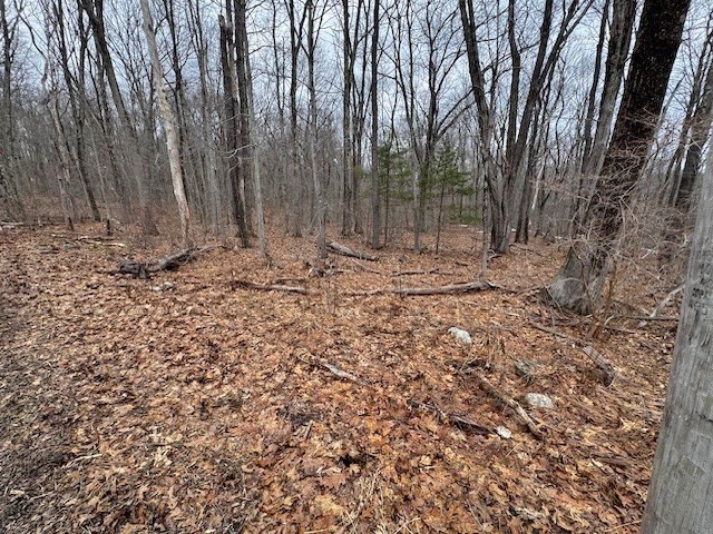 Lot 4 Gould Road Charlton, MA 01507 - Photo 3 of 4