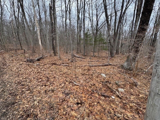 Lot 4 Gould Road Charlton, MA 01507 - Photo 4 of 5