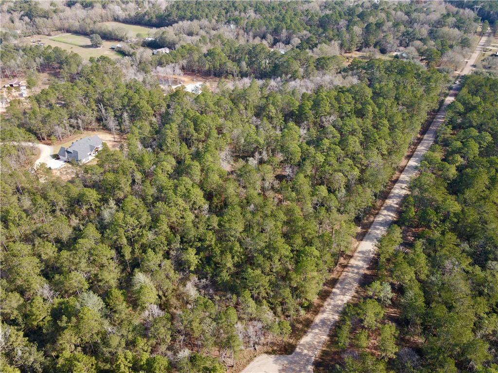 18382 Amore Way Covington, LA 70433 - Photo 11 of 13