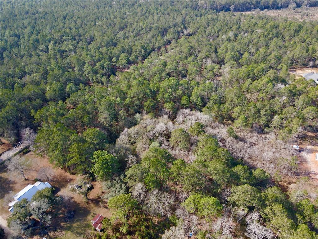 18382 Amore Way Covington, LA 70433 - Photo 10 of 13