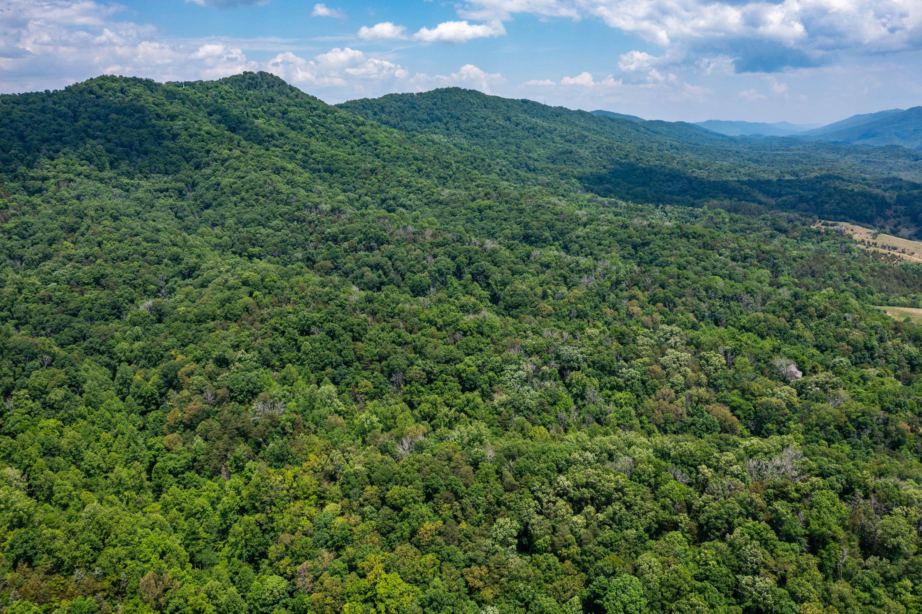 Tbd Gap Mountain Road Greeneville, TN 37745 - Photo 13 of 47 Gap Mountain Rd-11