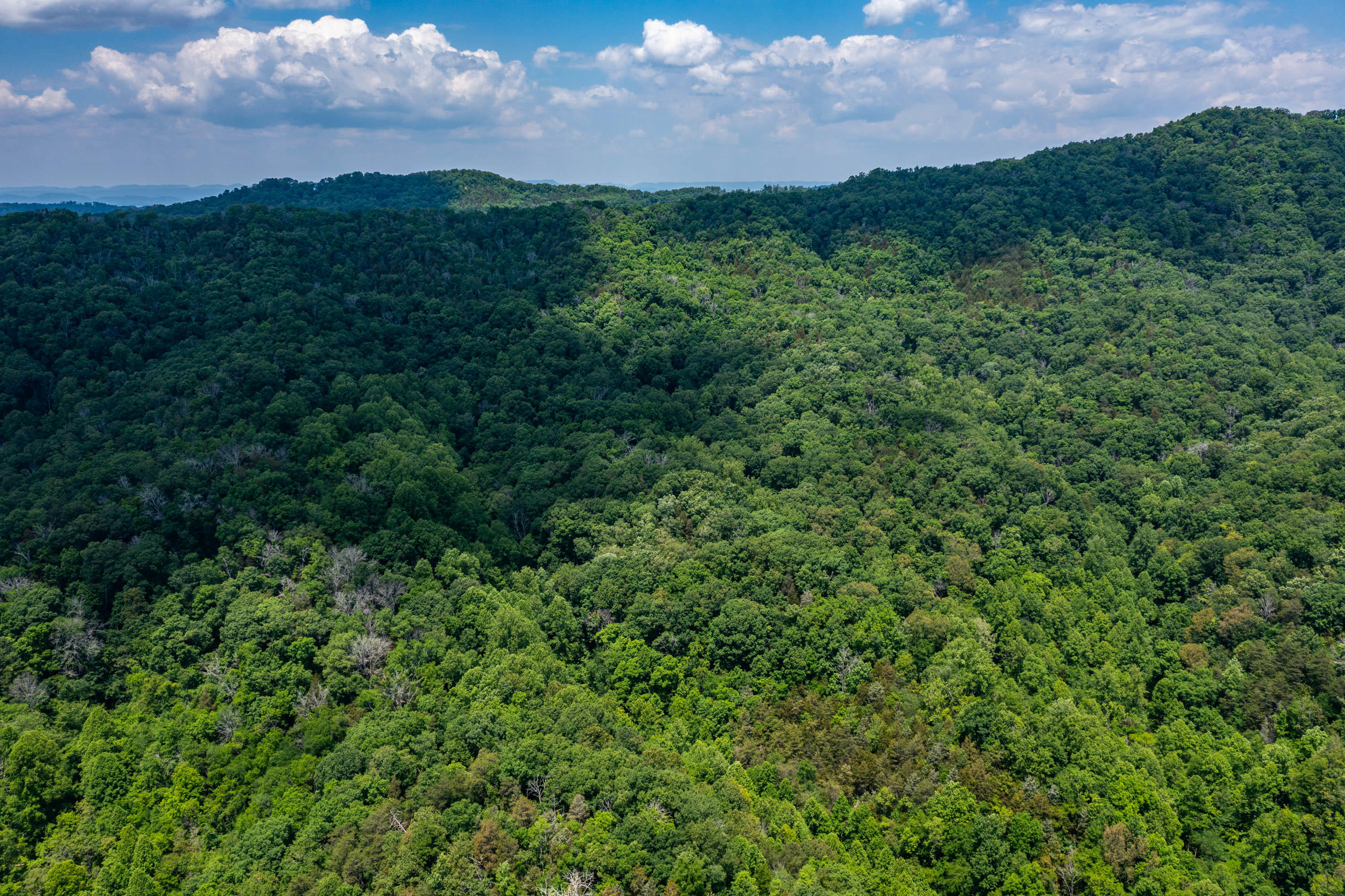 Tbd Gap Mountain Road Greeneville, TN 37745 - Photo 14 of 47 Gap Mountain Rd-10
