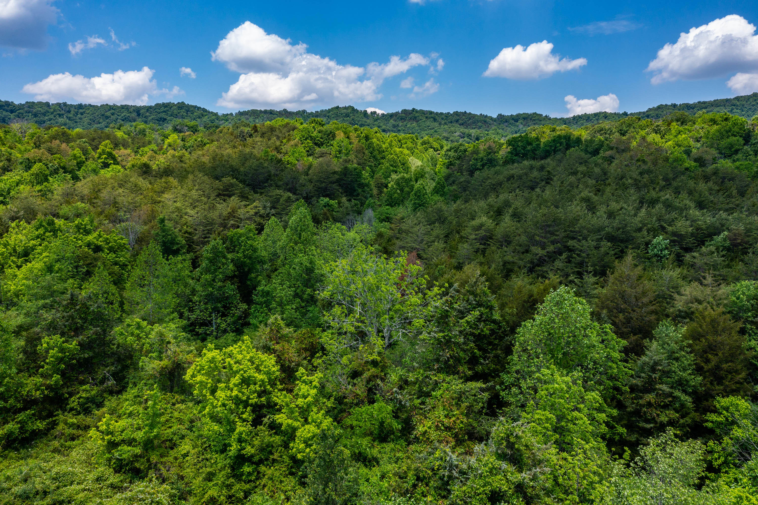 Tbd Gap Mountain Road Greeneville, TN 37745 - Photo 23 of 47 Gap Mountain Rd-25