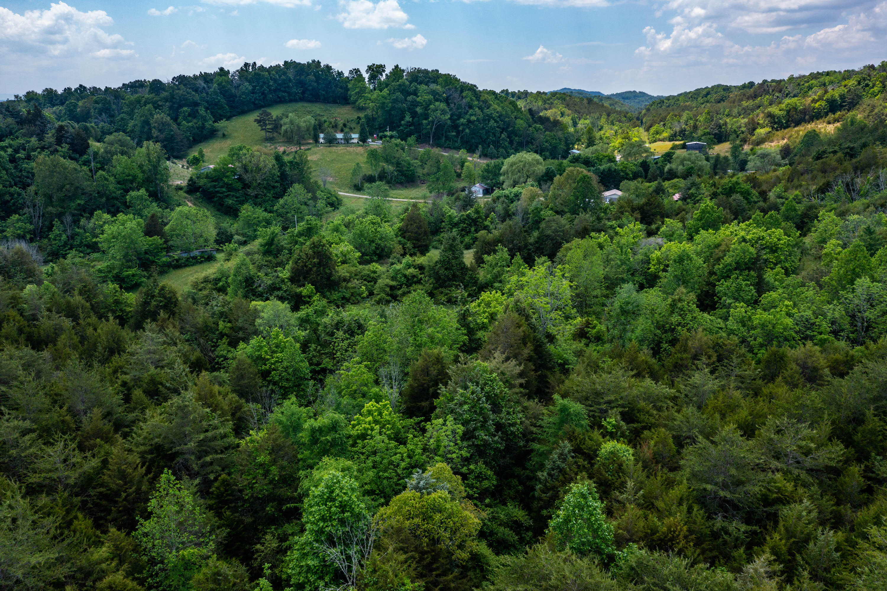 Tbd Gap Mountain Road Greeneville, TN 37745 - Photo 26 of 47 Gap Mountain Rd-22