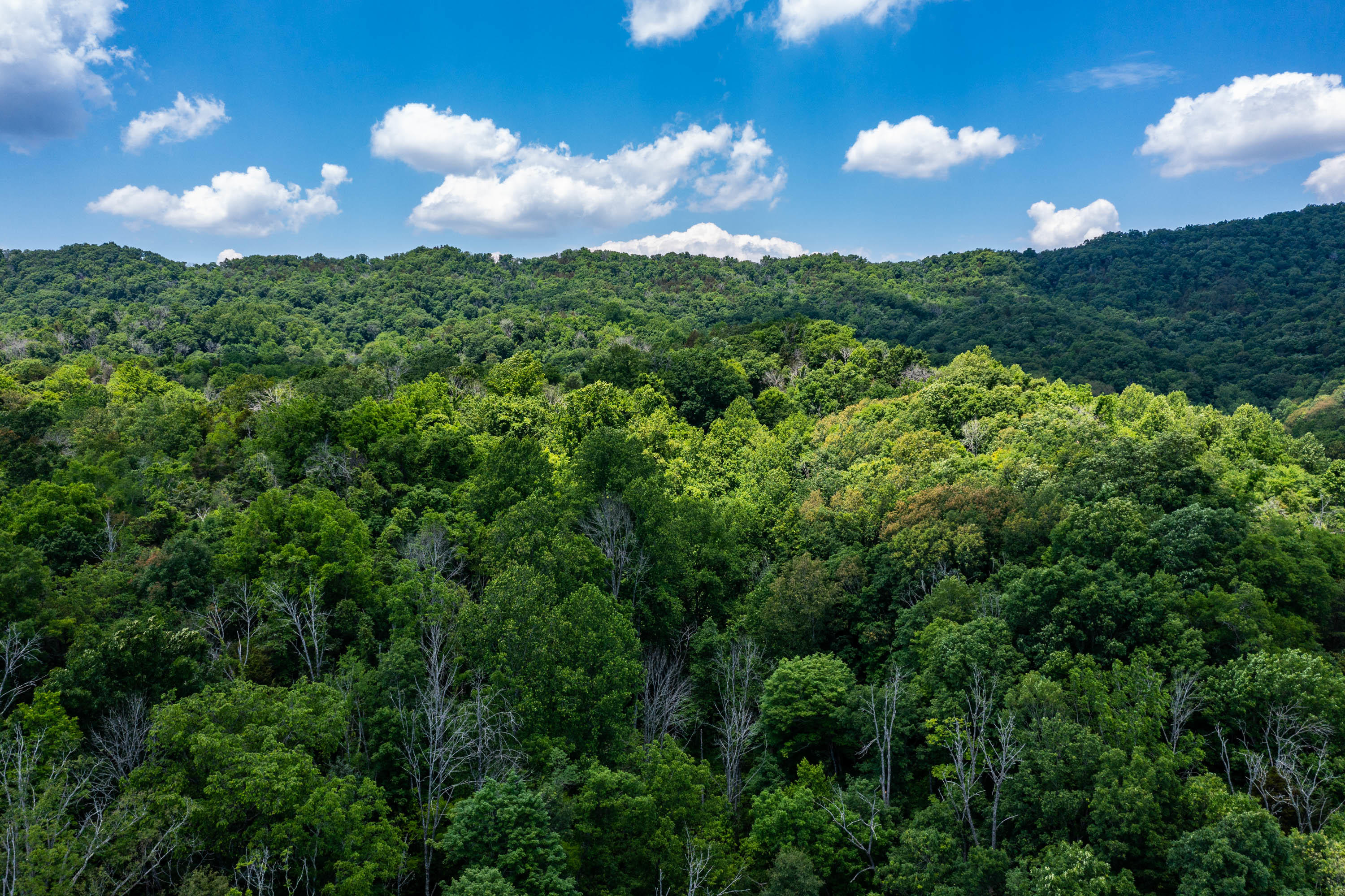 Tbd Gap Mountain Road Greeneville, TN 37745 - Photo 27 of 47 Gap Mountain Rd-21