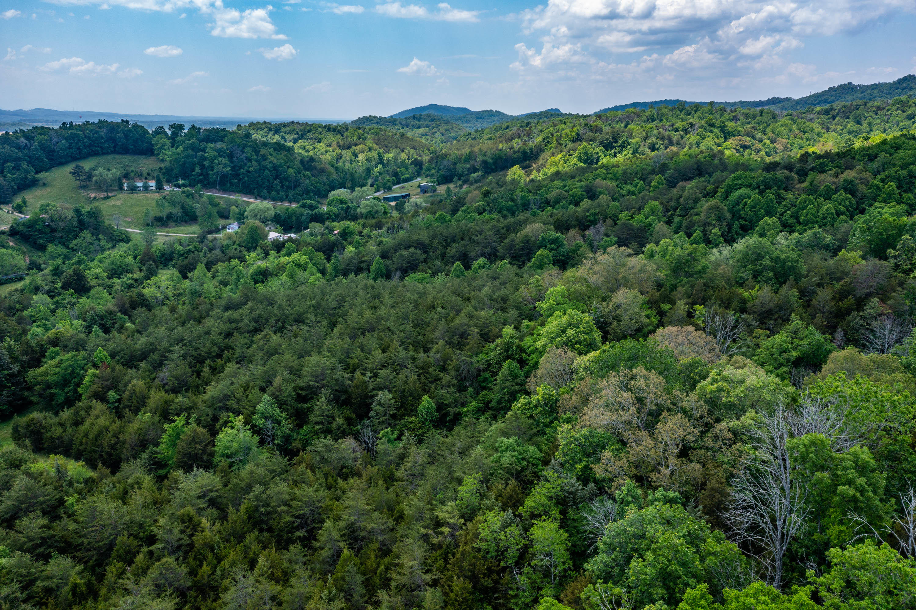 Tbd Gap Mountain Road Greeneville, TN 37745 - Photo 28 of 47 Gap Mountain Rd-20