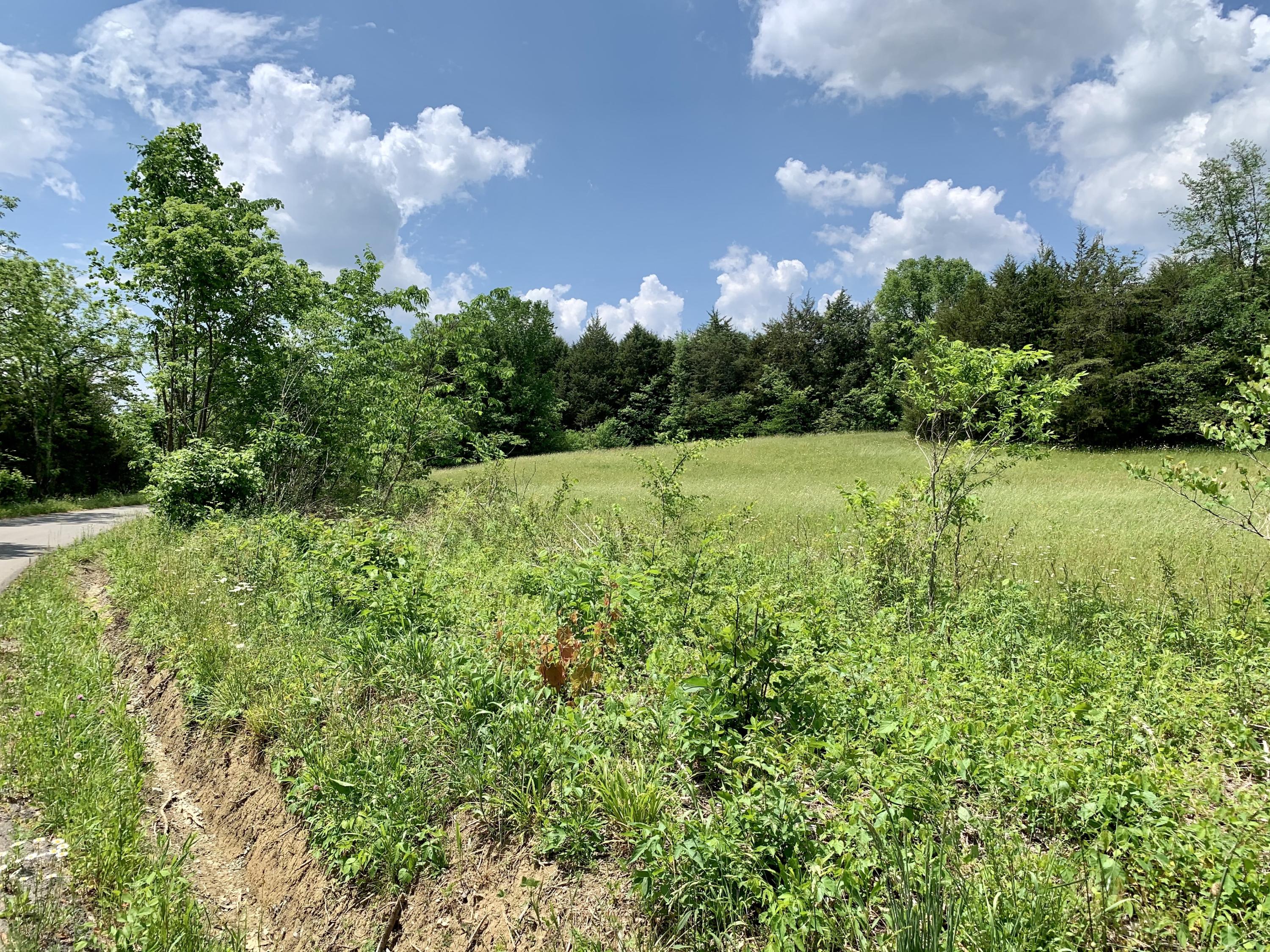 Tbd Gap Mountain Road Greeneville, TN 37745 - Photo 3 of 47 IMG_6542