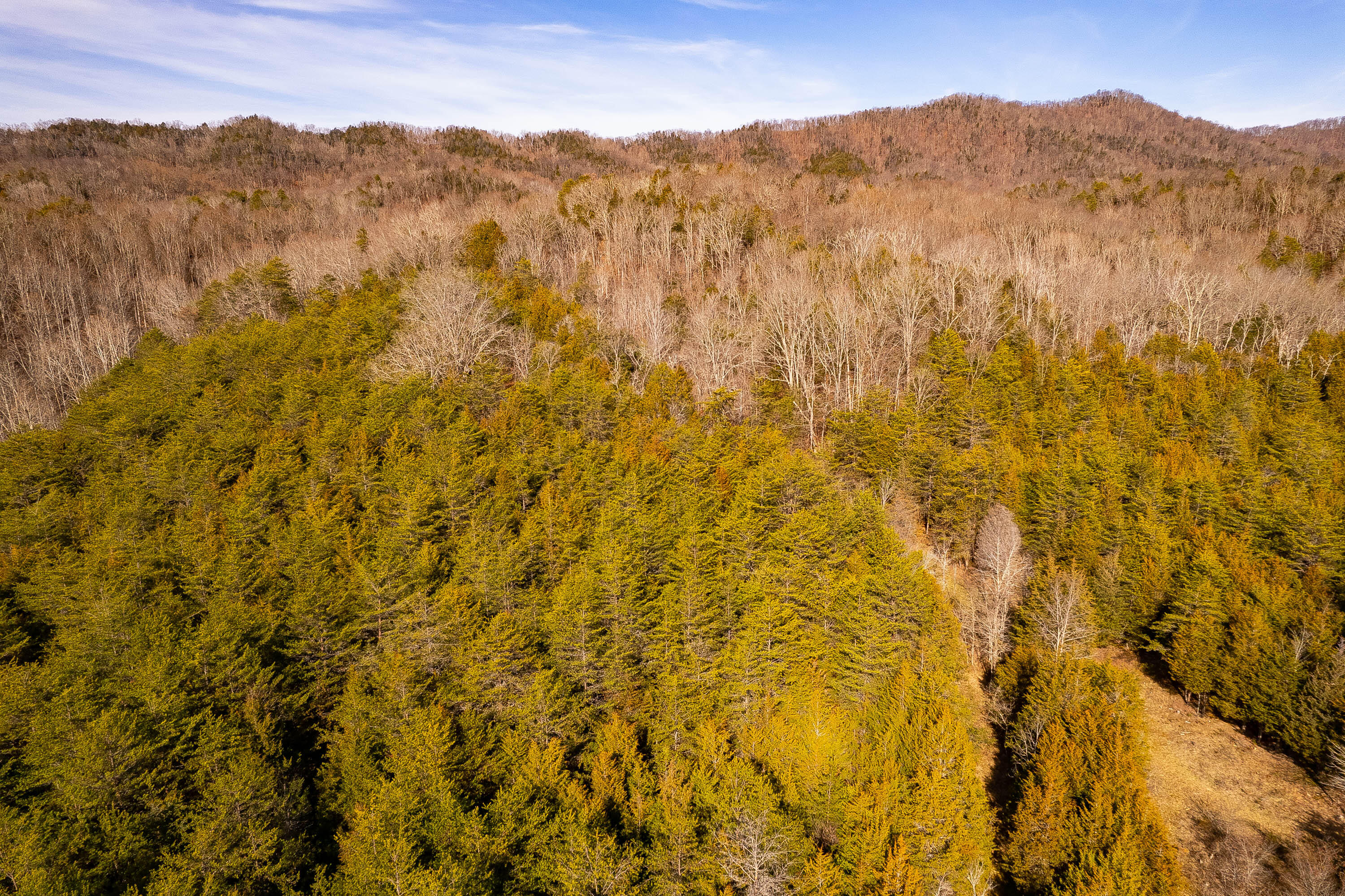 Tbd Gap Mountain Road Greeneville, TN 37745 - Photo 39 of 47 Gap Mtn Rd-11