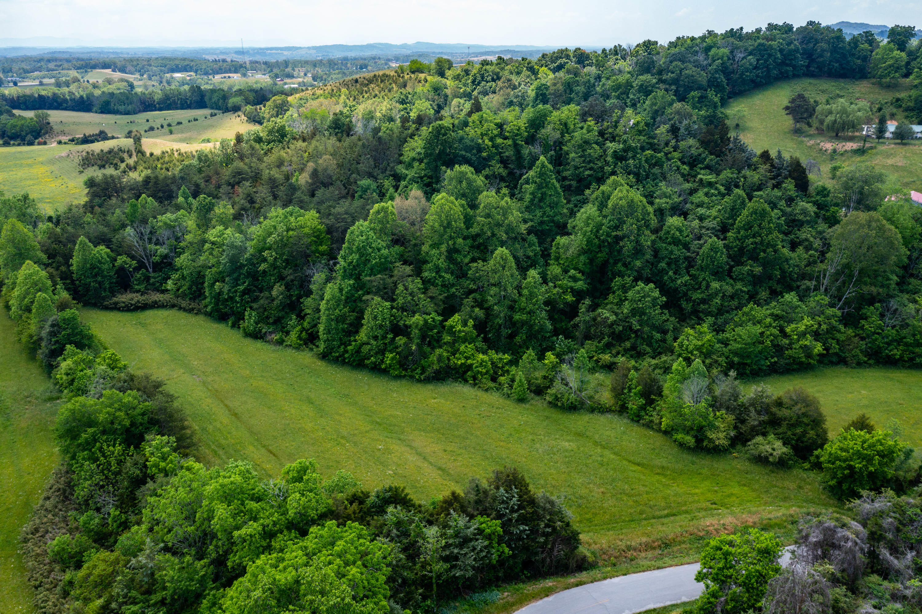 Tbd Gap Mountain Road Greeneville, TN 37745 - Photo 6 of 47 Gap Mountain Rd-3