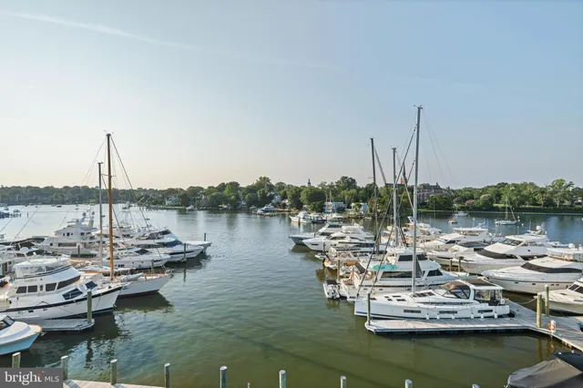 a view of a lake with boats