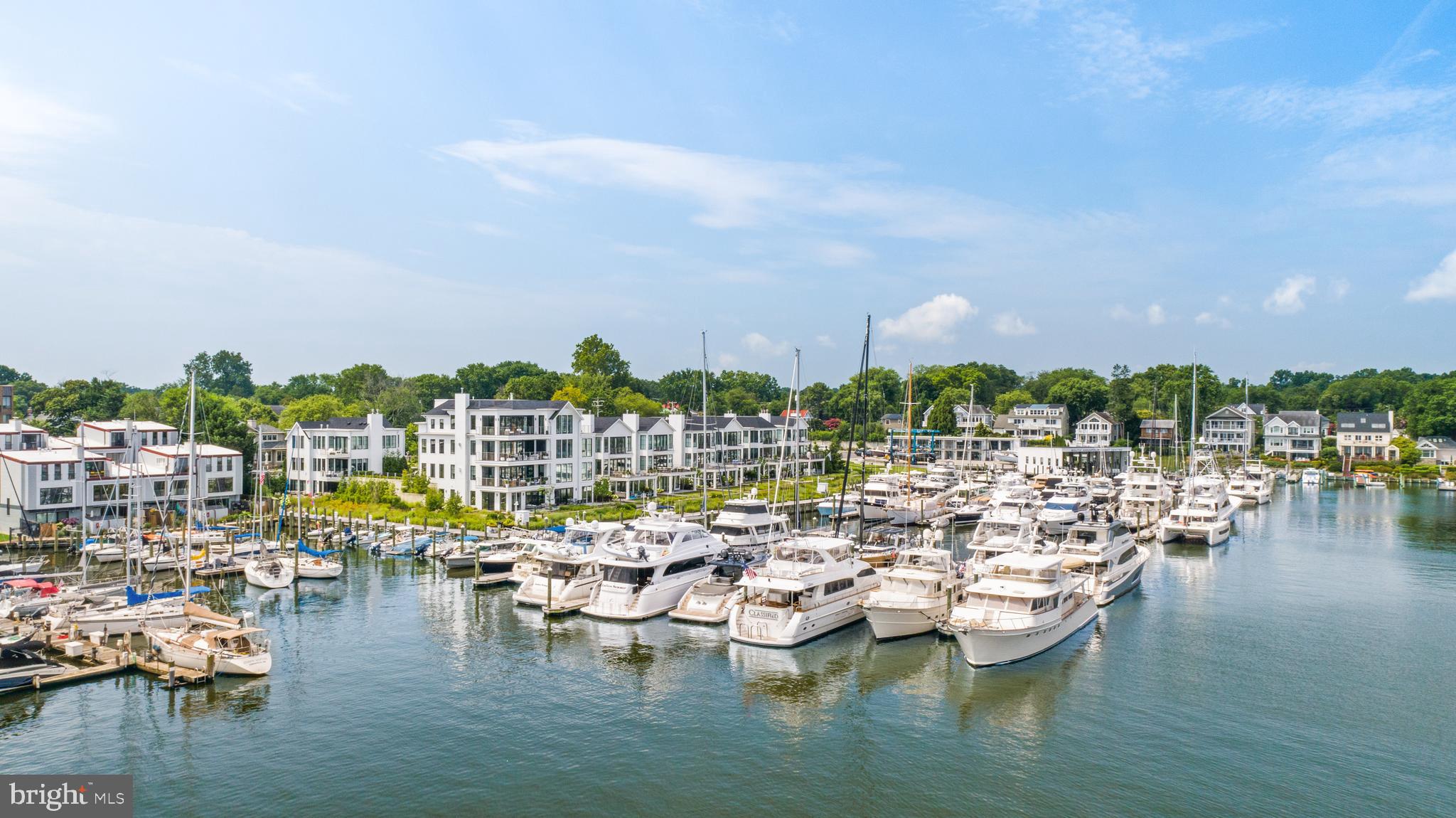 287 State Street, Unit 3 Annapolis, MD 21403 - Photo 40 of 43 a view of lake with boats and trees in the background
