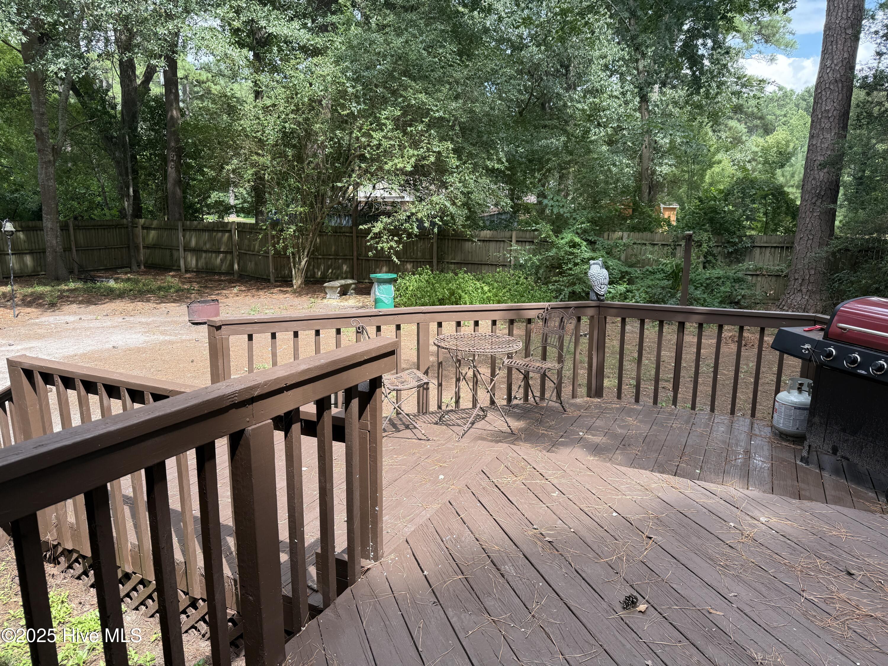 167 Puddin Ridge Road Moyock, NC 27958 - Photo 25 of 29 Back deck from the door