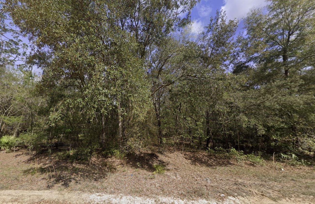 Tbd Beaven Street Interlachen, FL 32148 - Photo 10 of 11 BEAVEN