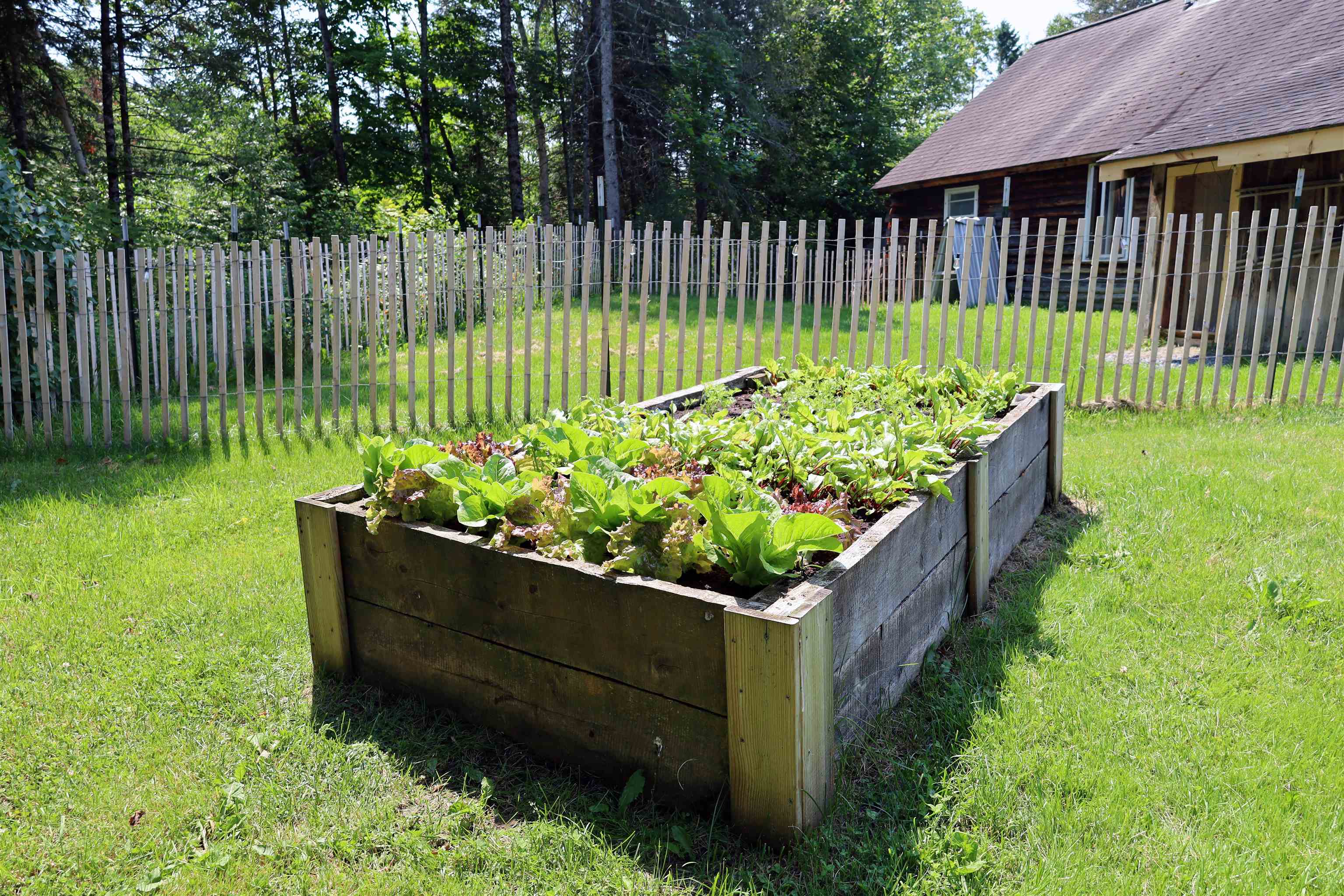167 Isham Hill Road Danville, VT 05873 - Photo 48 of 60